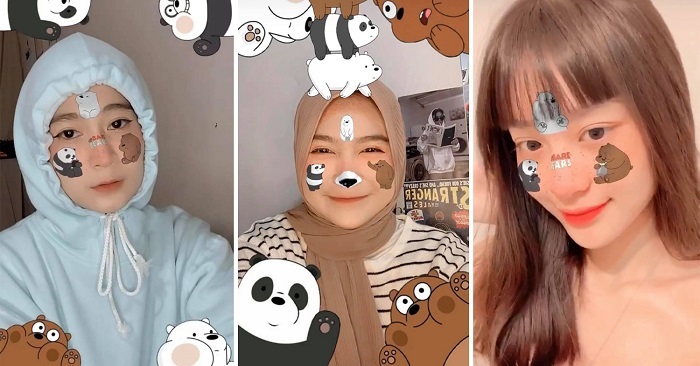 Ảnh minh hoạ: app chụp hình có 3 con gấu trên mặt